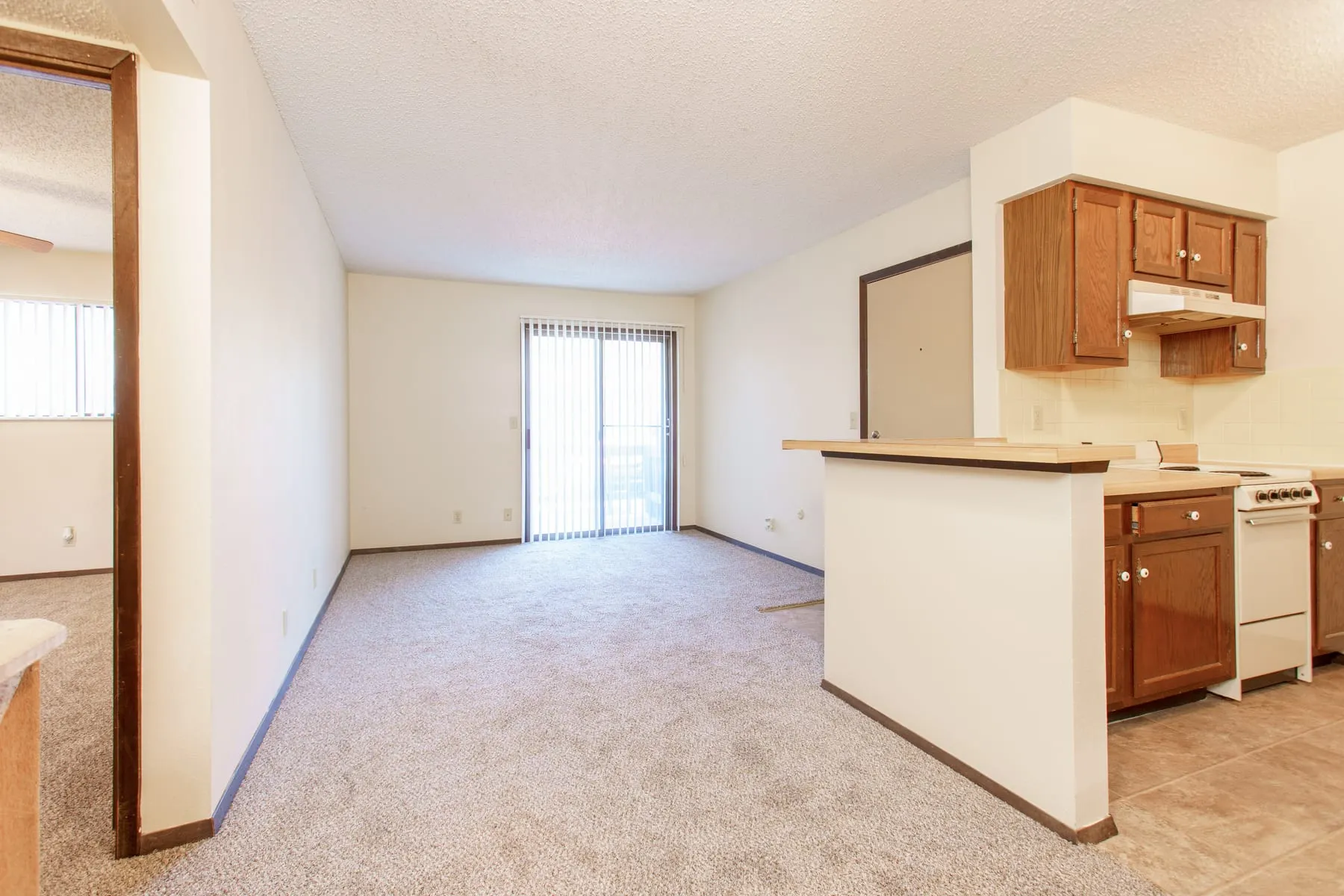 Original one bedroom living area with carpet and the kitchen pass-through beyond.