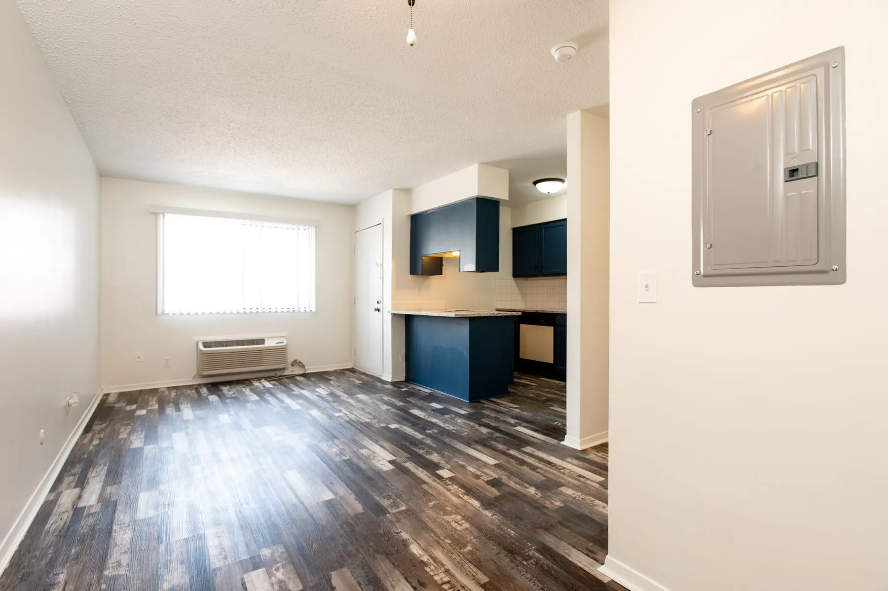 Studio living space with window light, kitchen peninsula and plank flooring.